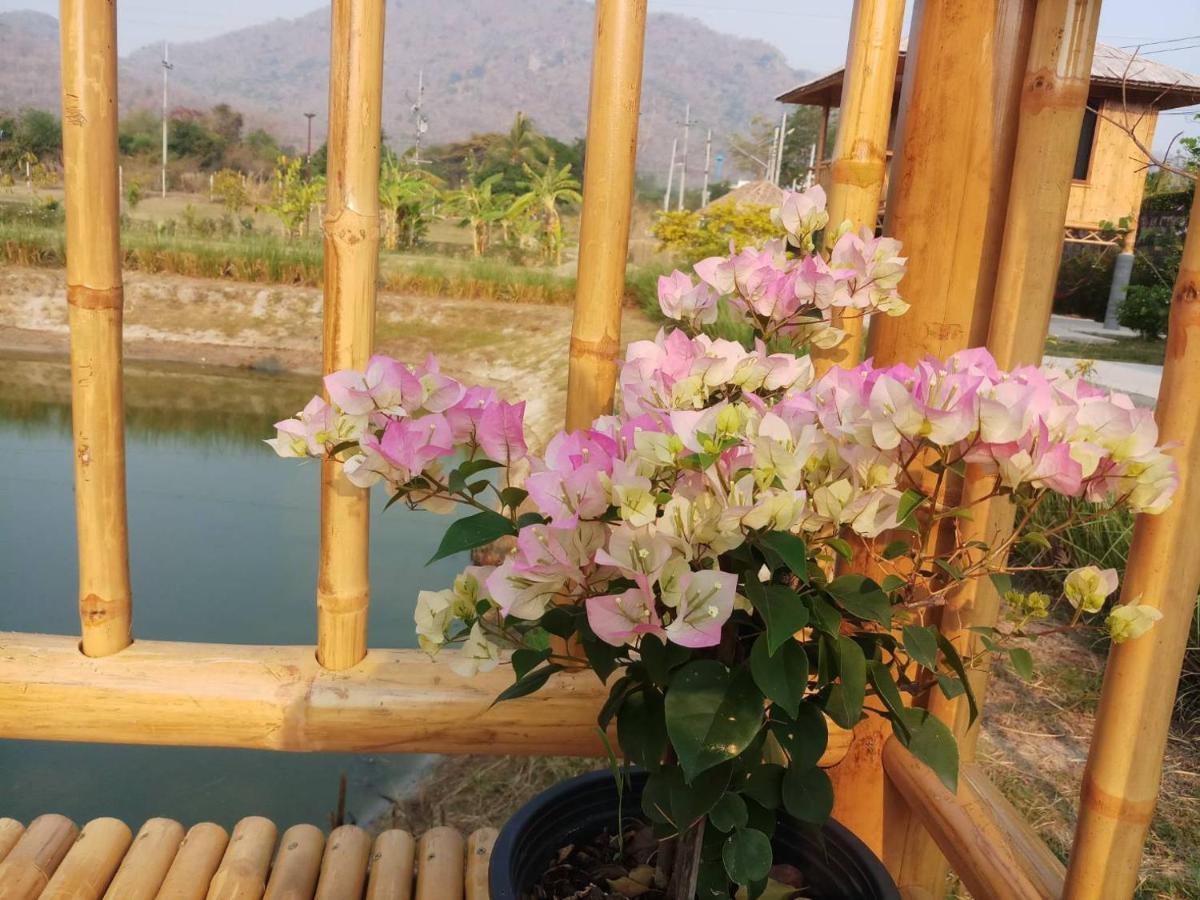 คูณ-เนื่อง ฟาร์ม สเตย์ หัวหิน Koon & Nueang Farm Stay Hua Hin Ban Bo Fai Zewnętrze zdjęcie